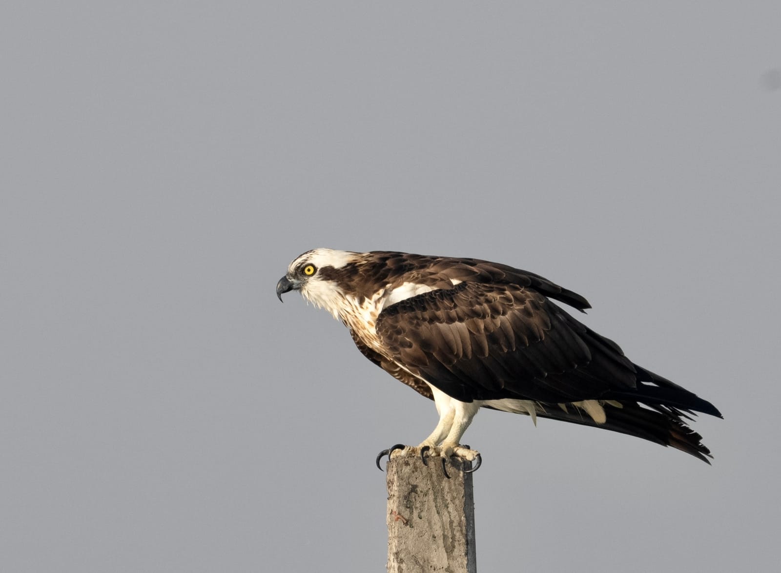 323324862_855168679087280_7571432623318131410_n