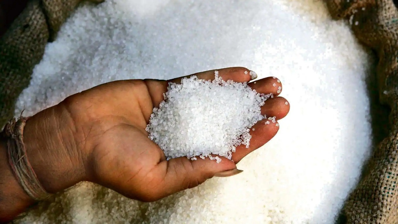 साखरेच्या उत्पादनात भरघोस वाढ, यंदा विक्रमी उत्पादनाचा अंदाज