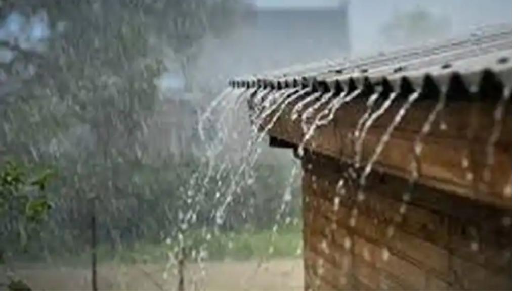 Untitled Design (14)