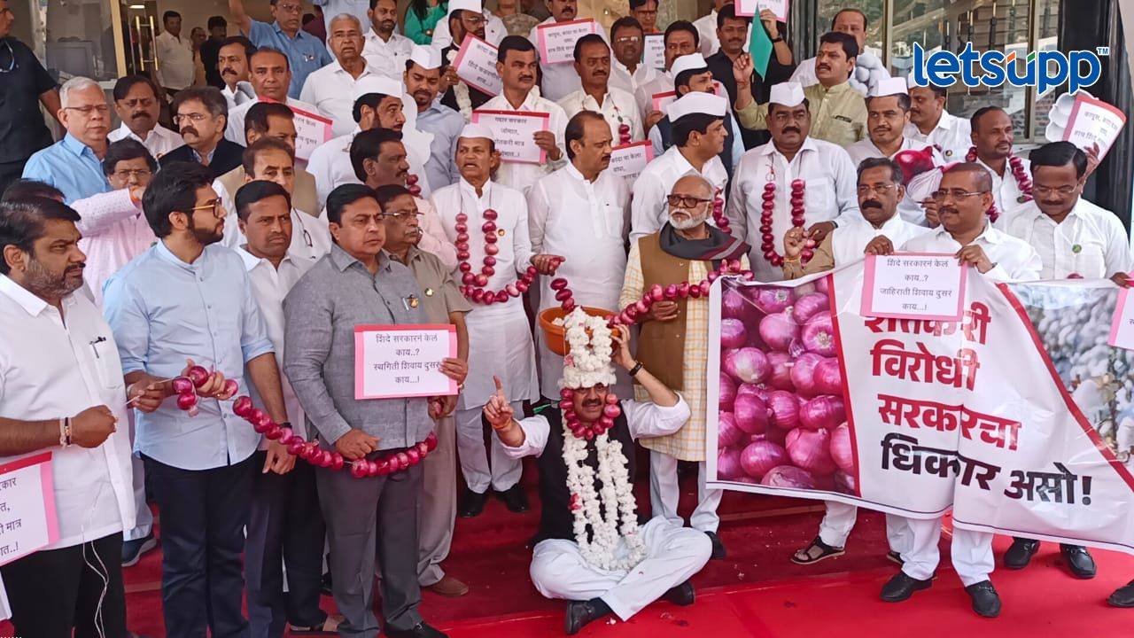 विधानभवनाच्या पायर्यांवर राडा, विरोधकांचं कांद्याच्या माळा घालून आंदोलन… Kanda Andolan