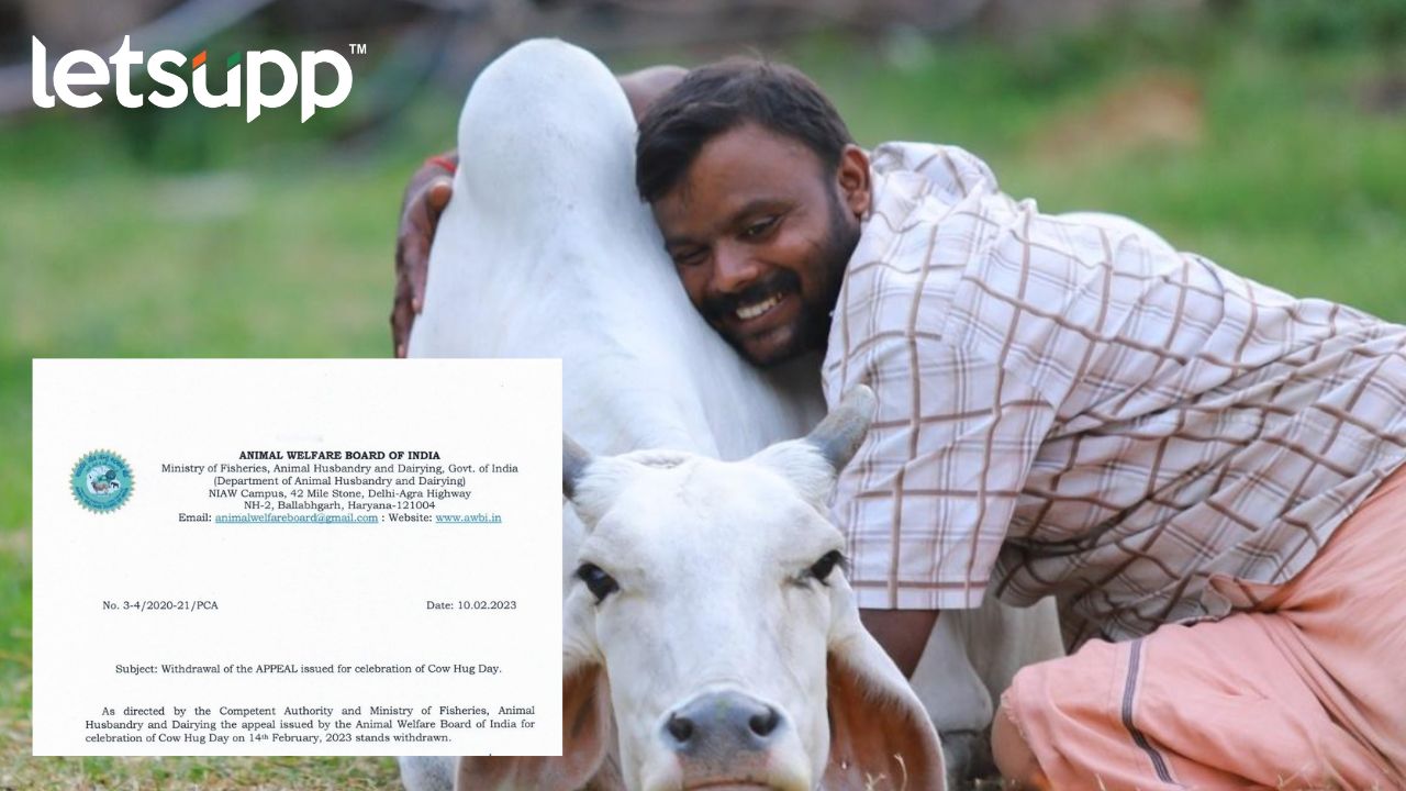 Untitled Design   2023 02 10T173913.857