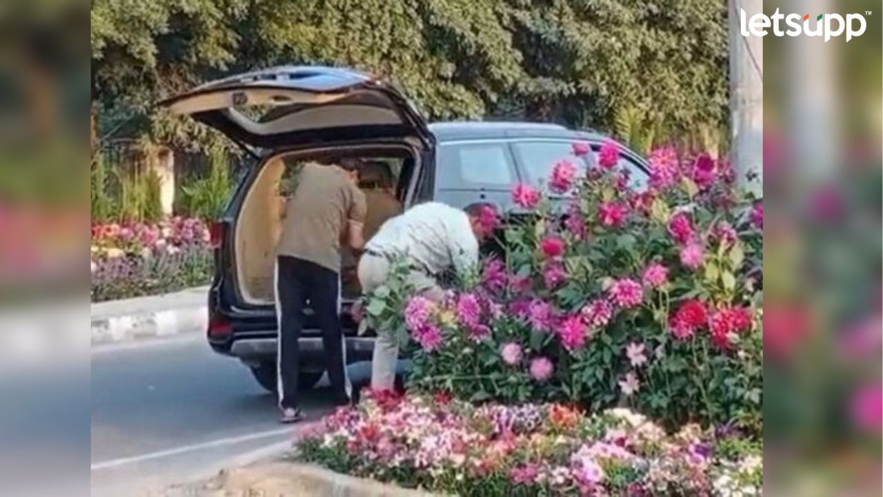 G -20 : जी-20 परिषदेसाठी आणलेल्या रोपांच्या कुंड्यांची चोरी, व्हिडिओ व्हायरल Ayant Dharmadhikari (12)