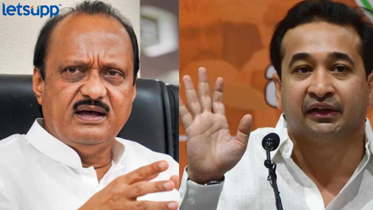 2 मार्चला कळेल बाई कोणाला पाडते; नितेश राणेंचा अजित पवारांना टोला Ayant Dharmadhikari (18)