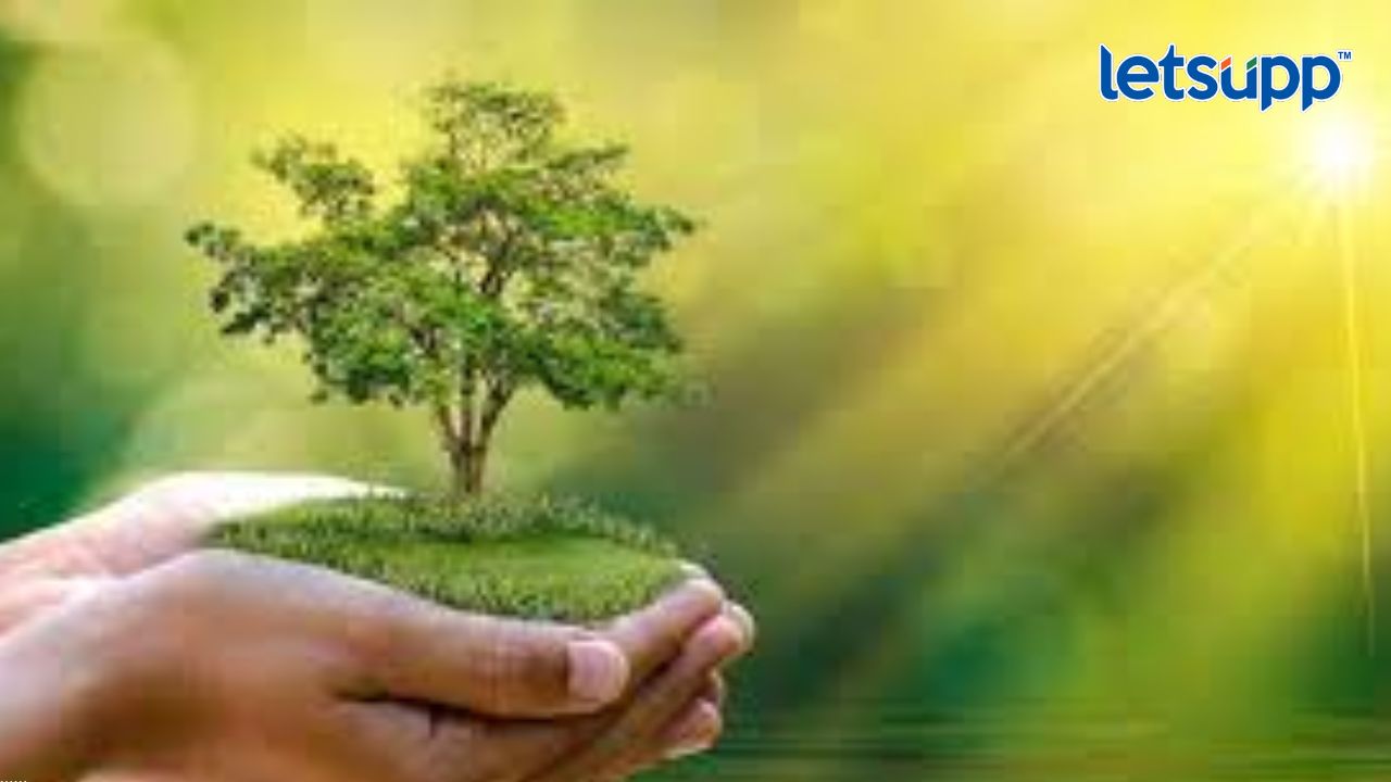 Maharashtra Budget 2023 : अर्थसंकल्पातून पर्यावरणपूरक विकासाचं लक्ष्य Environment