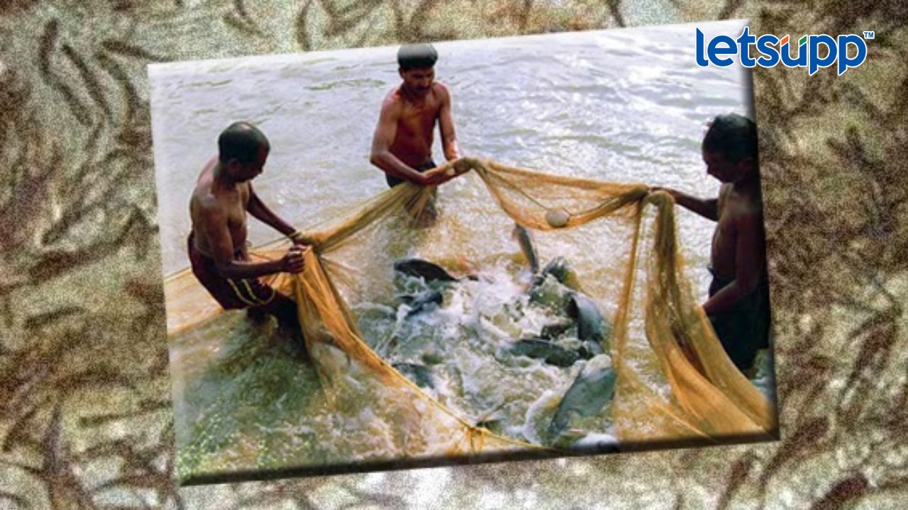 मच्छिमारांचा अपघाती मृत्यू झाल्यास वारसांना अर्थसहाय्य Fishing