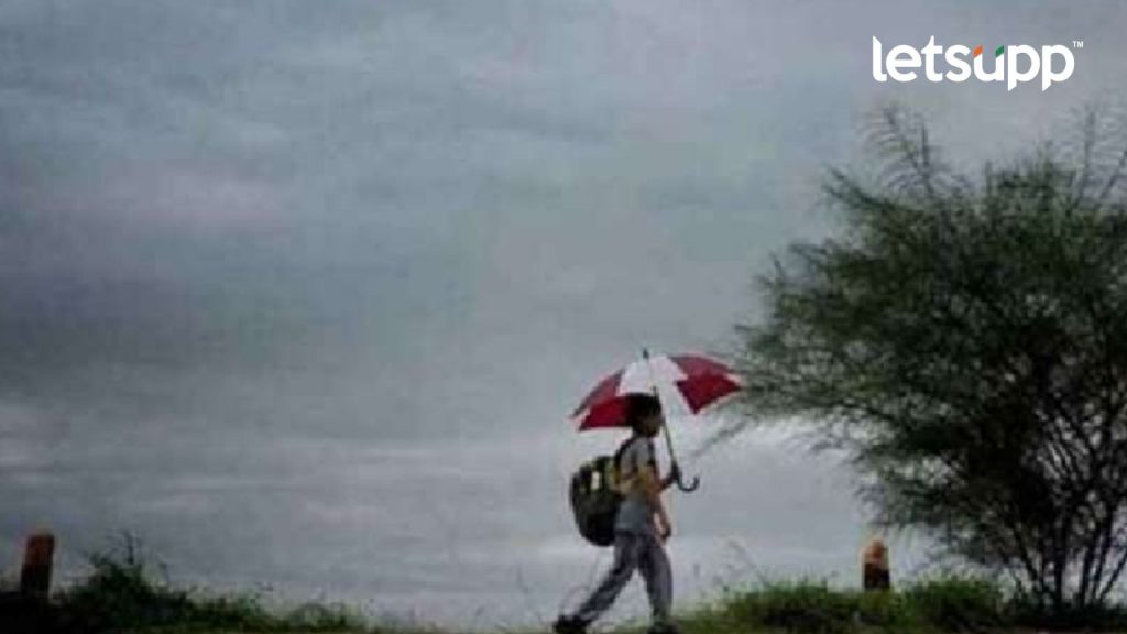 Rain