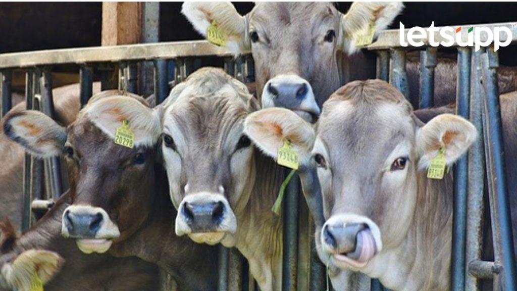 Untitled Design   2023 03 23T202441.684