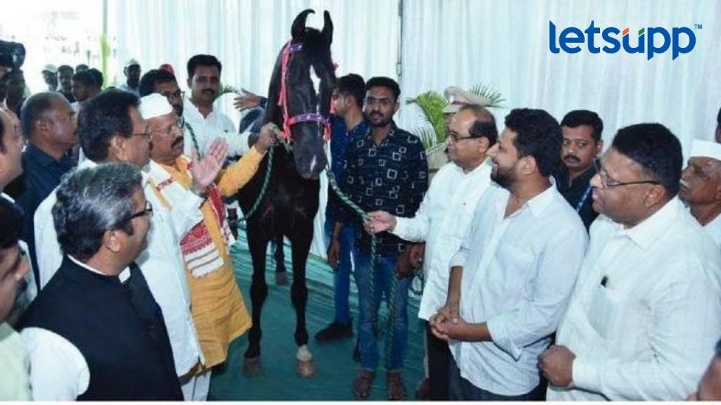 Untitled Design (93)