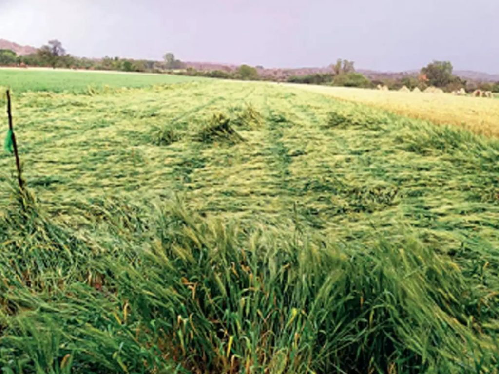 WhatsApp Image 2023 03 06 At 5.54.31 PM