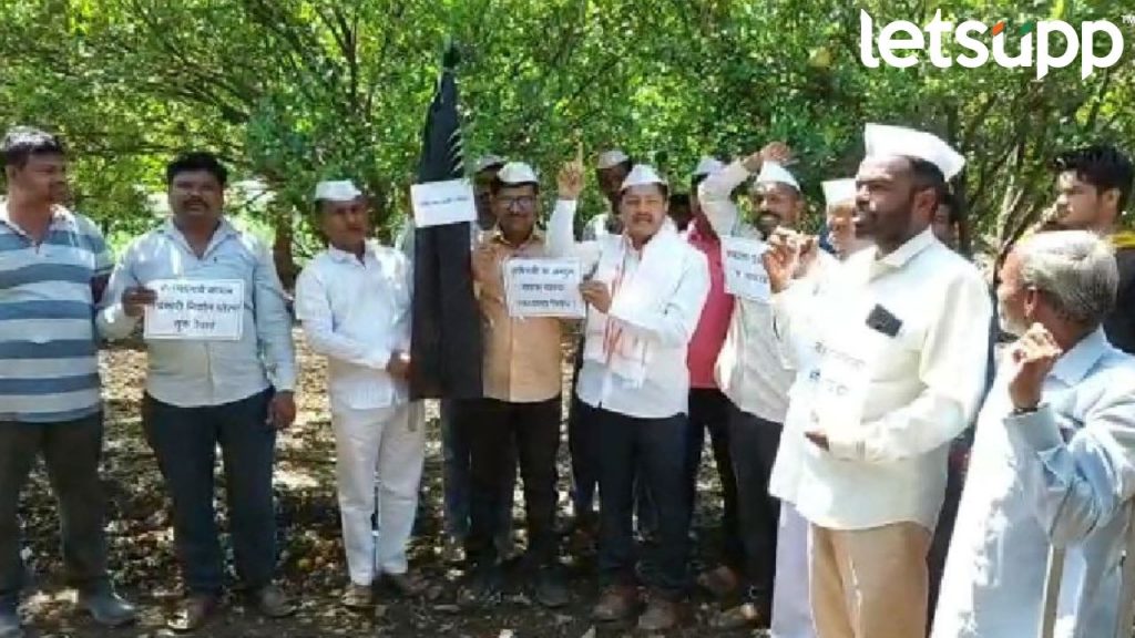 Ayant Dharmadhikari (2)