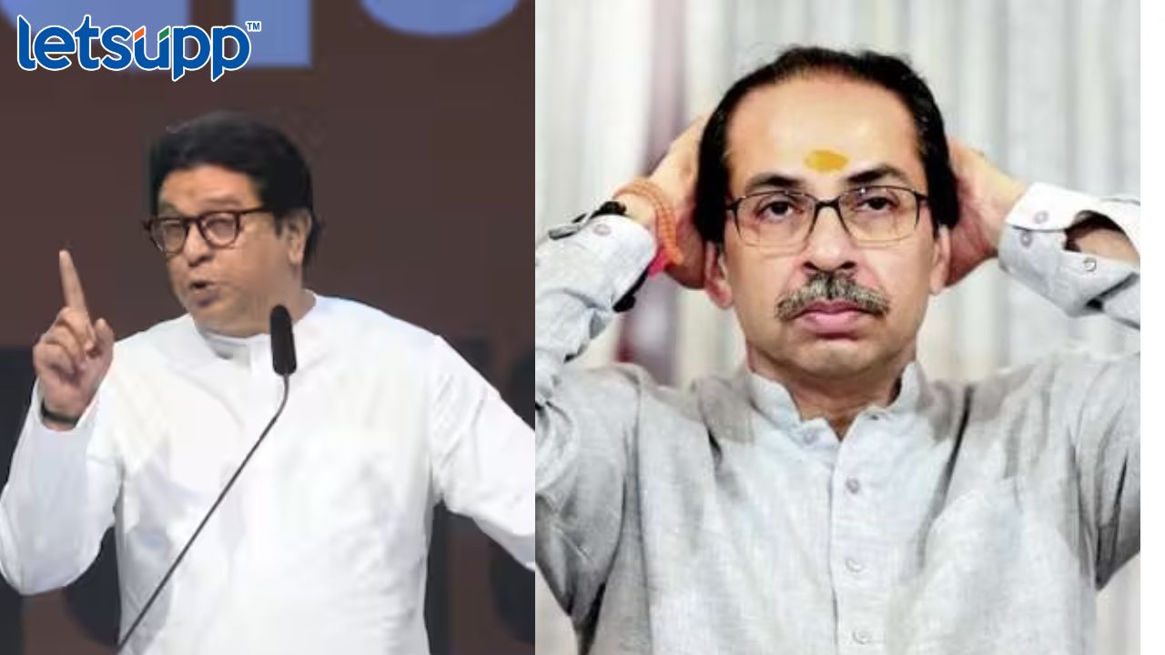 आमदारांना भेटायचे नाहीत, मग आमदार कंटाळून सोडून गेले; राज ठाकरेंचा उद्धव ठाकरेंवर घणाघात Ayant Dharmadhikari (6)