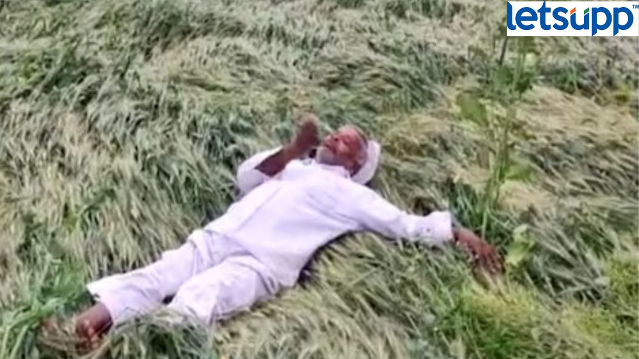 Maharashtra Rain : पावसाने पिके झाली आडवी, हताश शेतकऱ्याने घेतले तोंड झोडून.. Farmer 2