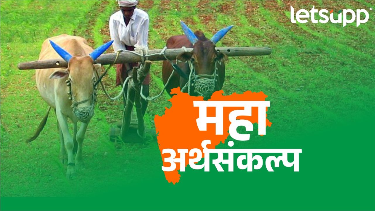 Maharashtra Budget : निवडणुका डोळ्यासमोर ठेऊन घोषणांचा पाऊस, किसान सभेची टीका