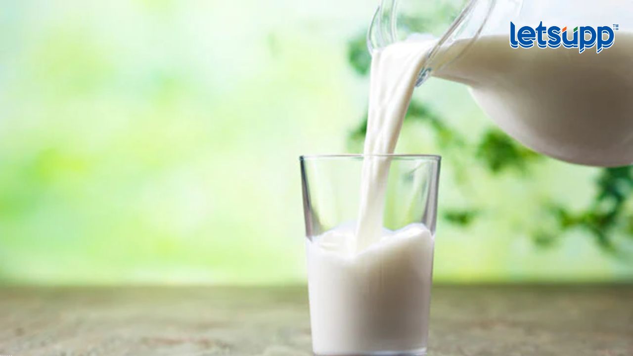 World Milk Day | विश्व दूध दिनाचं महत्व काय? जाणून घ्या इतिहास अन् दुधाचे फायदेही..