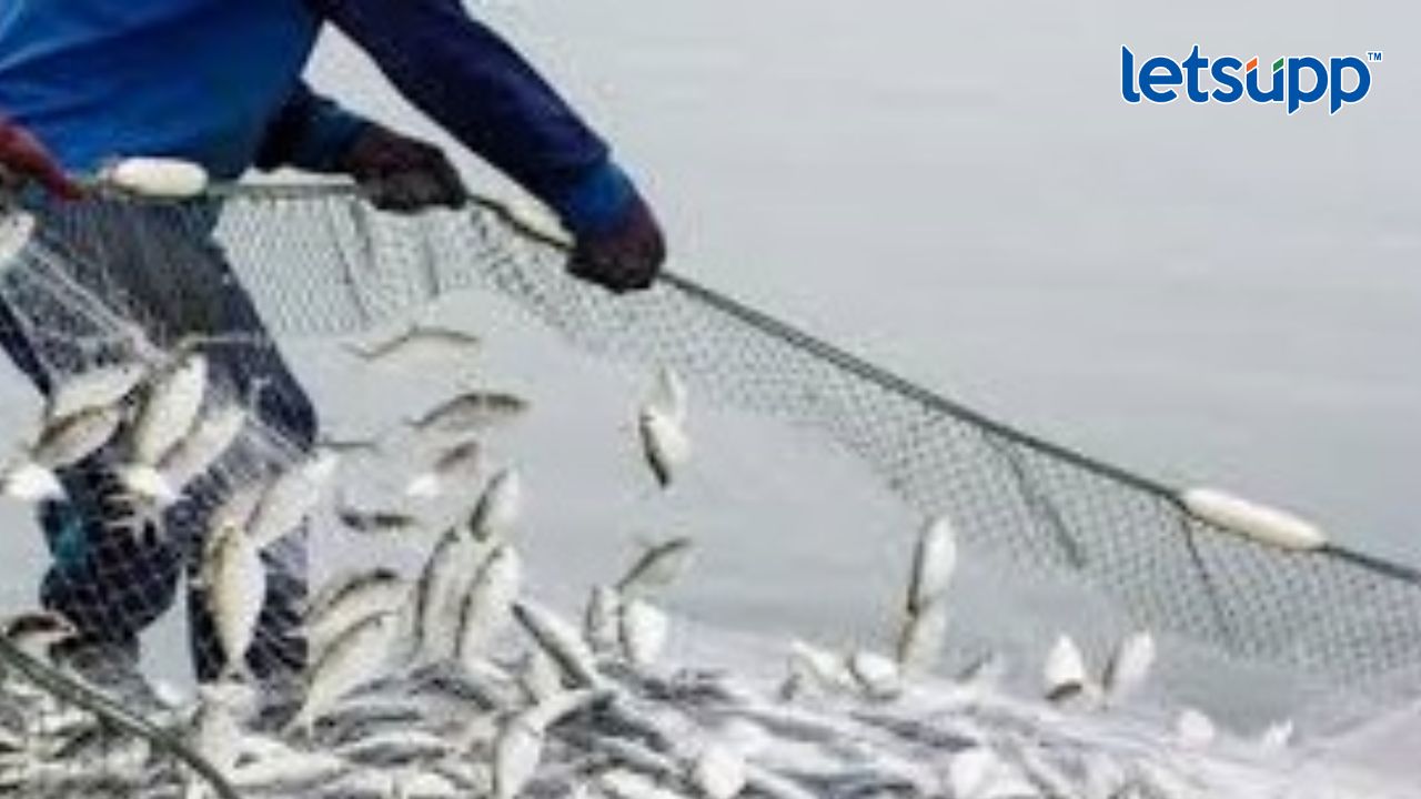 सागरी मत्स्य व्यवसाय ६ महिन्यांचे प्रशिक्षण Fishing
