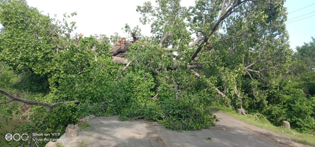 IMG 20220802 WA0011 1