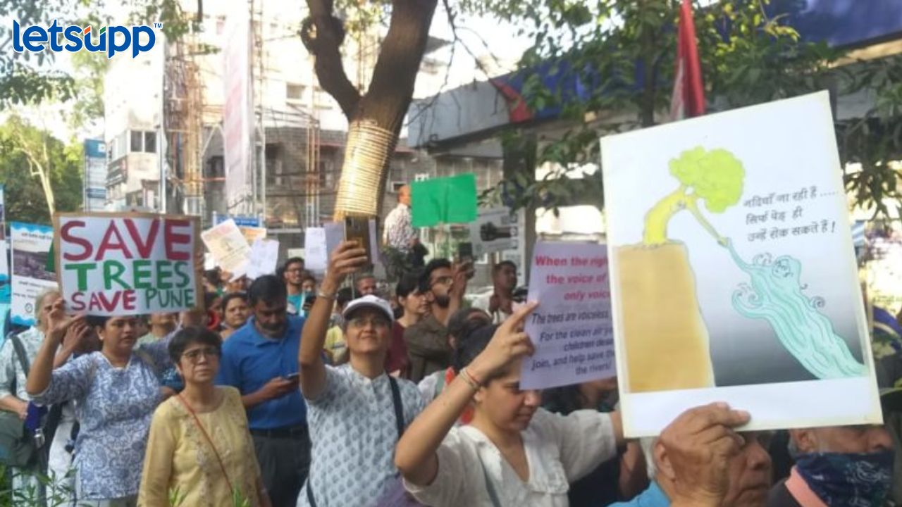 पुण्यात 75 हजार झाडांची कत्तल; पर्यावरण प्रेमींचे चिपको आंदोलन Pune News