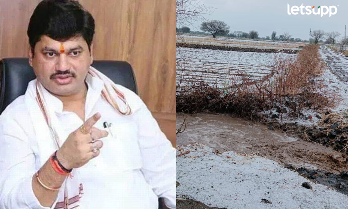Dhananjay Munde : पंचनामे कुठपर्यंत आलेत सरकार सांगेल का?, धनंजय मुंडे यांचा सवाल Untitled Design 2023 04 08T215206.820