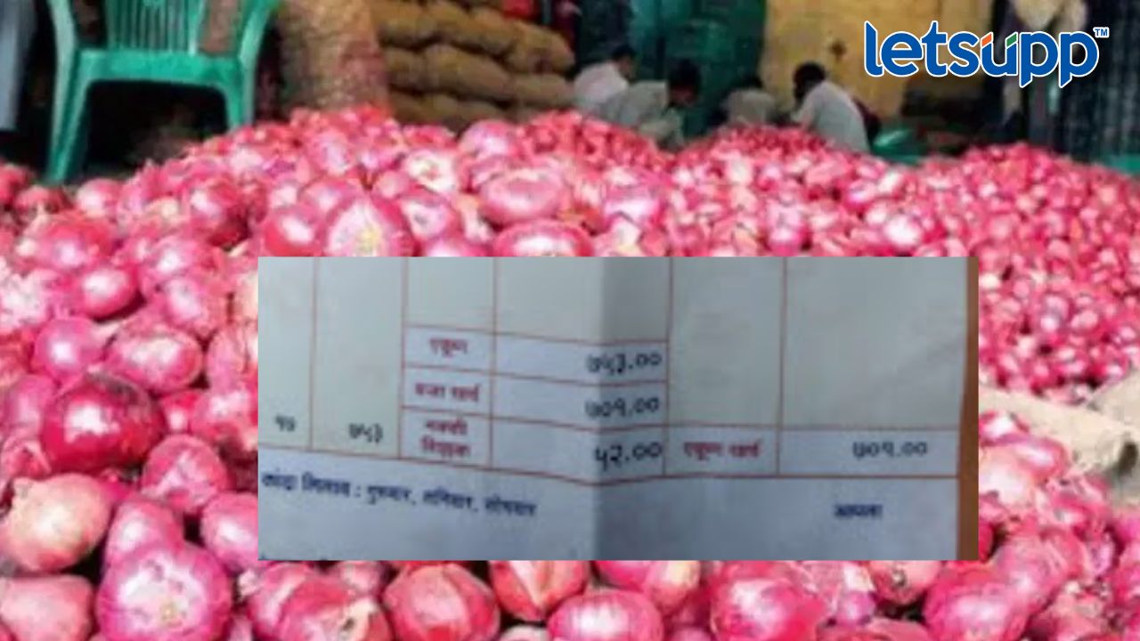 17 गोण्या कांदा विकून हातात आले अवघे 52 रुपये!, ‘सरकार, सांगा आम्ही जगायचं कसं ?’ Untitled Design