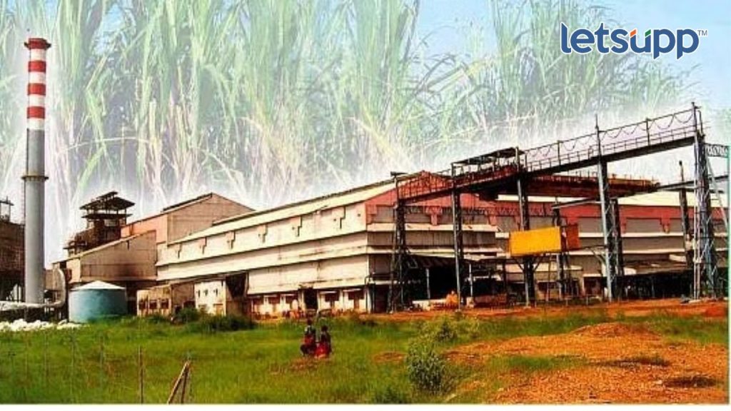 Untitled Design (35)