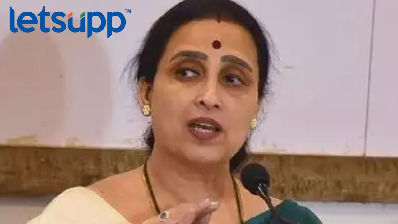 राज्यात औरंग्याची पैदास वाढू लागली, राऊत आणि आव्हाडांनी आपला डीएनए टेस्ट करावा, चित्रा वाघांचा घणाघात Chitra Wagh
