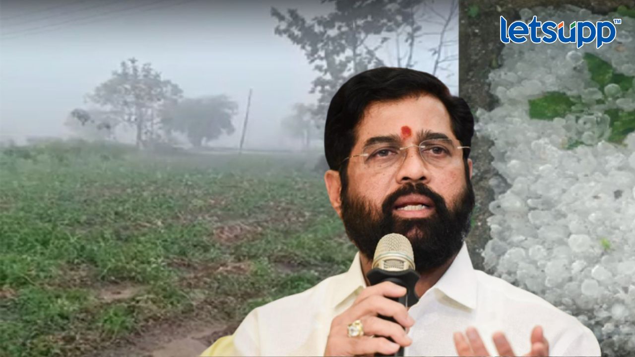 शेतकऱ्यांना मोठा दिलासा! ‘अवकाळी’च्या नुकसान भरपाईसाठी 177 कोटी Eknath Shinde
