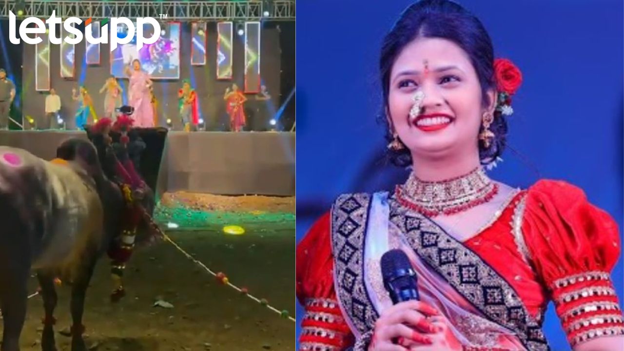Gautami Patil : ‘का उगा घाई अशी…?’ म्हणत बैलासमोर गौतमीची लावणी Gaut