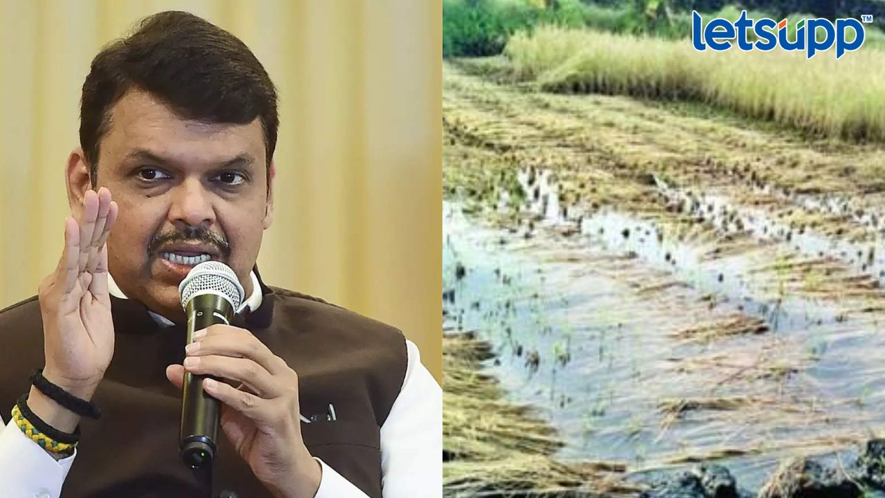 Devendra Fadnavis : शेतकऱ्यांना वाऱ्यावर सोडणार नाही, तत्काळ मदत देणार Httpswww.canva.comdesignDAFcJmY7 AA2pbVhvfb_idY9UrtjK05lwviewium=link&utm_source=shareyourdesignpanel (2)