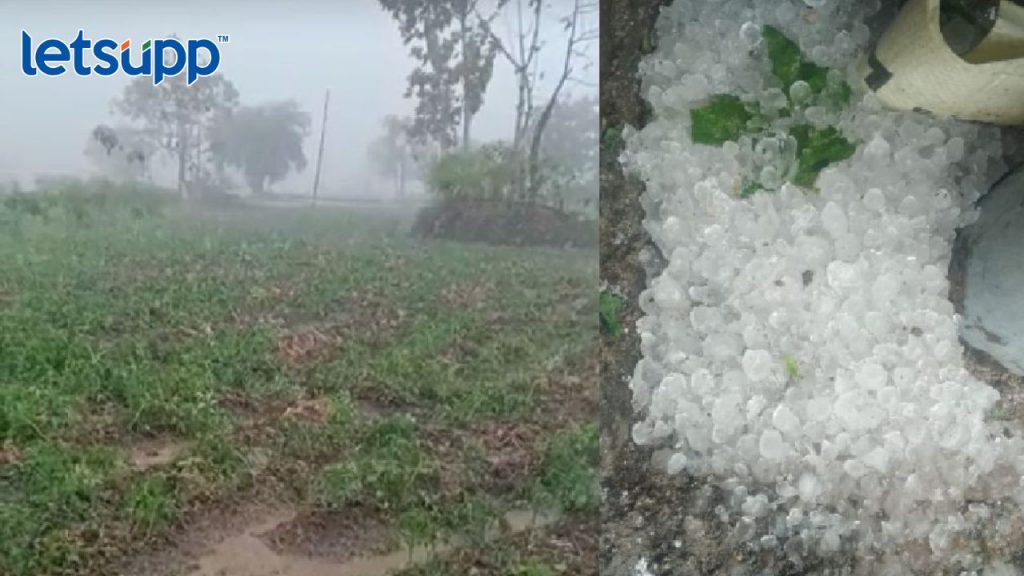 Httpswww.canva.comdesignDAFcJmY7 AA2pbVhvfb_idY9UrtjK05lwviewium=link&utm_source=shareyourdesignpanel (3)