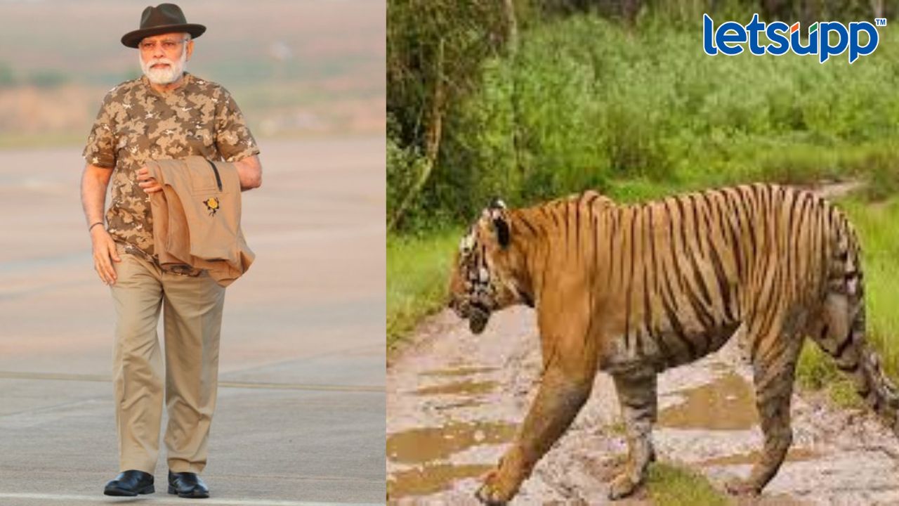 काळी टोपी, खाकी पँट आणि प्रिंटेड टी-शर्ट… नरेंद्र मोदींच्या वेगळ्या लूकची चर्चा Httpswww.canva.comdesignDAFcJmY7 AA2pbVhvfb_idY9UrtjK05lwviewium=link&utm_source=shareyourdesignpanel (4)