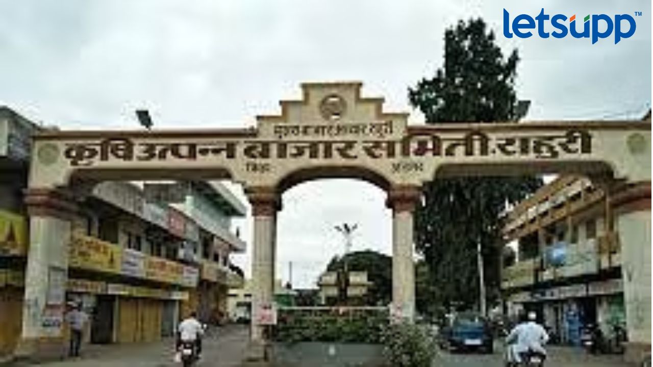 Market Committee Election : राहुरी बाजार समितीचं चित्र स्पष्ट, भाजप-मविआमध्ये सरळ लढत Rahuri Bajar Samiti