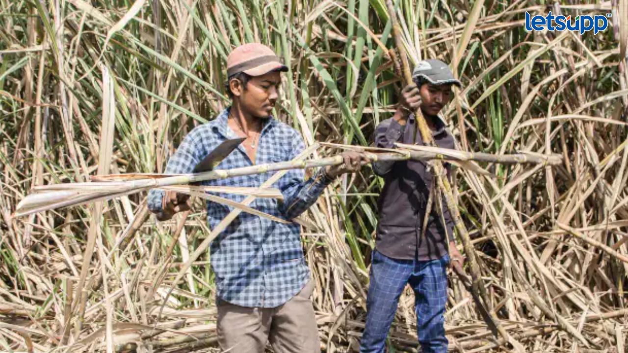 ऊसतोड कामगारांच्या मागण्यांसाठी लाल बावटा मैदानात; आझाद मैदानात आंदोलनाचा इशारा FIR Against Ex MD Of BharatPe, Family For Allegedly Defrauding The Fintech Of ₹81 Crore (33)