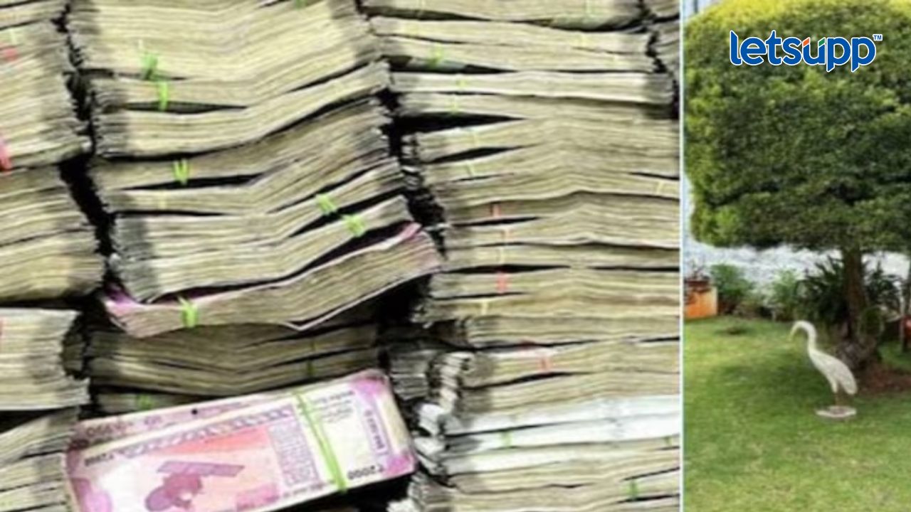 कर्नाटकमध्ये झाडांवरुन पैशांचा पाऊस; नेमकं प्रकरण काय? Karnataka