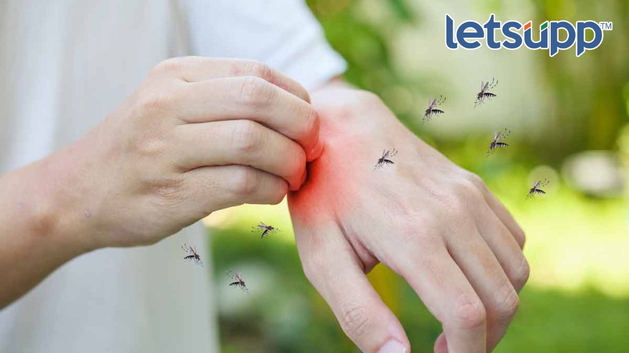 Untitled Design   2023 05 16T180755.014