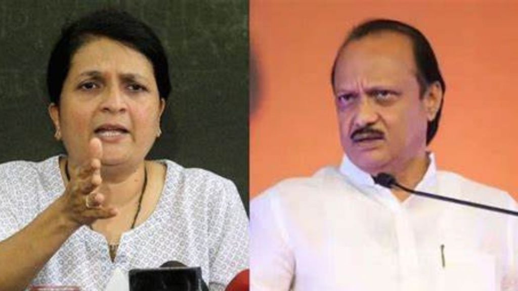 Anjali Damania : 'गाड्यांसाठीचा पैसा सिंचन घोटाळ्याचा की कष्टाचा?' दमानियांचा थेट अजितदादांना सवाल