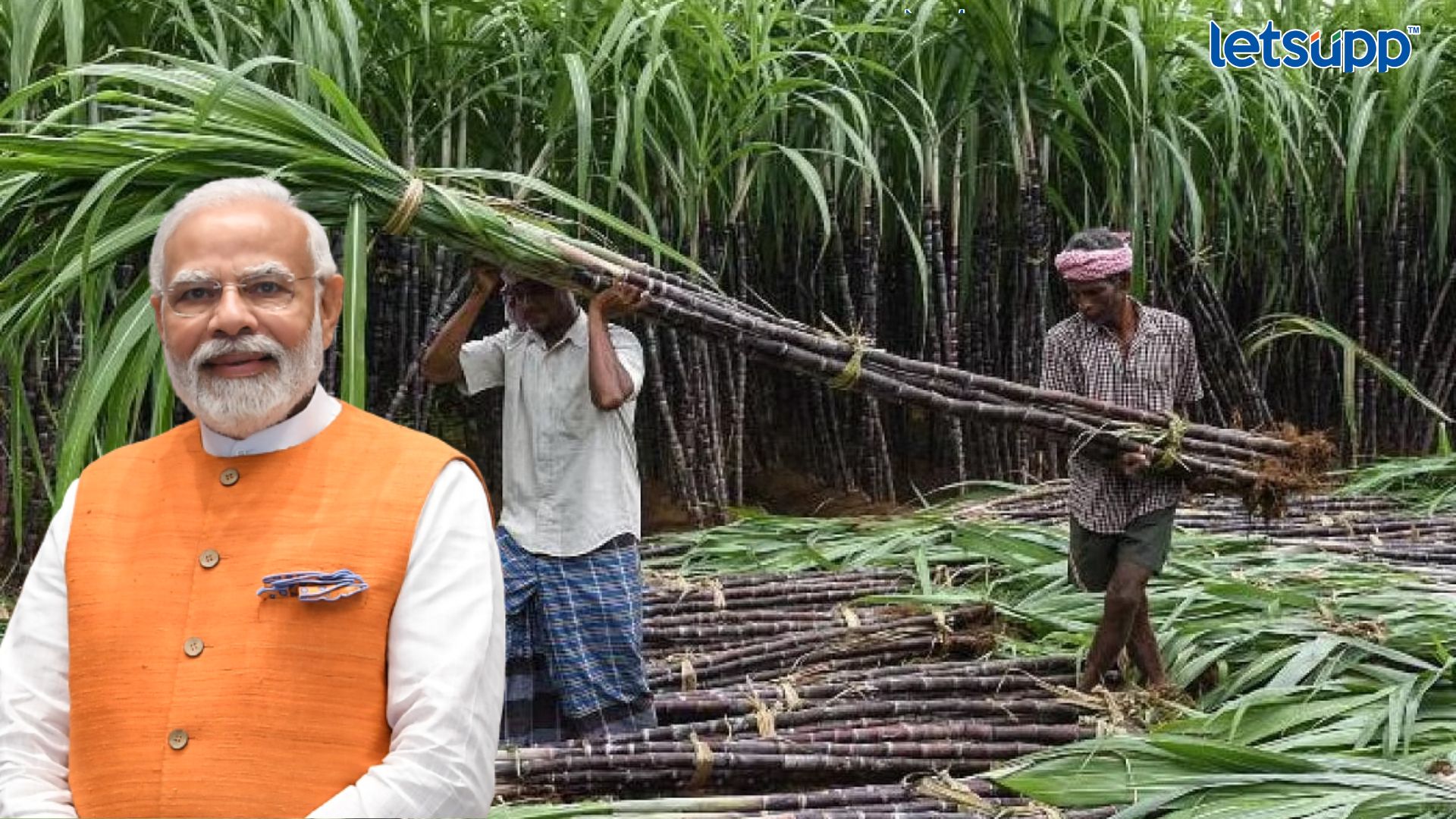 PM मोदींचे राज्यातील ऊस उत्पादक शेतकऱ्यांना मोठं गिफ्ट; FRP मध्ये घसघशीत वाढ Letsupp Image (50)