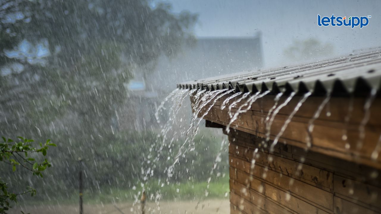 राज्यात विविध ठिकाणी मुसळधार पाऊस; सोलापुरात घरांमध्येच शिरलं पाणी… Rain