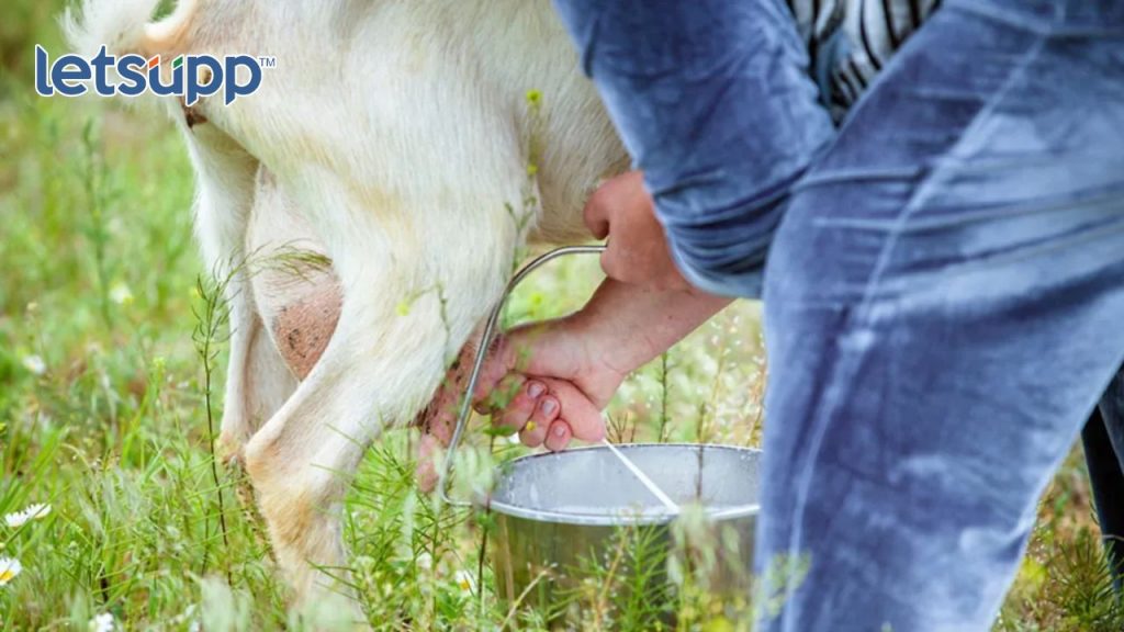 Untitled Design   2023 06 01T141221.493