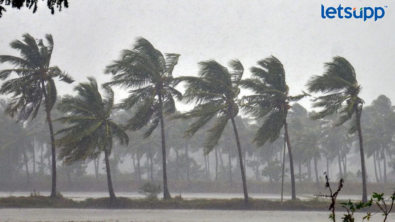 शेतकऱ्यांची चिंता वाढली! राज्यात चार-पाच दिवसांत मान्सून दाखल होण्याची शक्यता कठीण Untitled Design (54)
