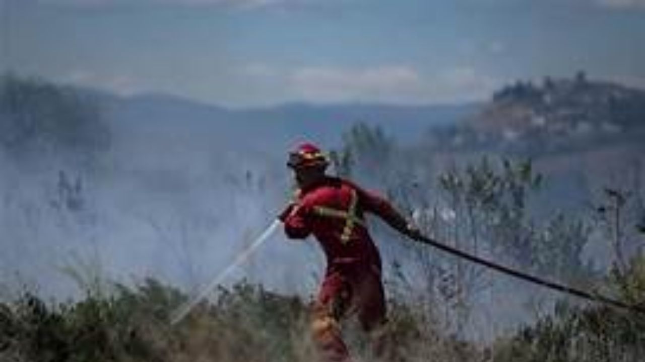 हजारो हेक्टर वनसंपदा बेचिराख, सव्वा लाख लोक बेघर; आगीचा ‘या’ दोन देशांना फटका Canada Forest Fire
