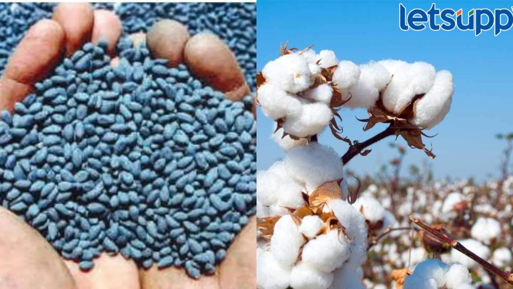 Cotton