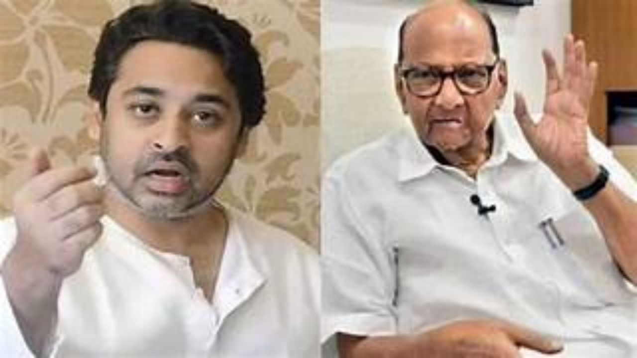 राणे बंधू अन् राऊतांवर बंदी घाला; भाजपच्याच नेत्यानं राणेंना फटकारलं Nilesh Rane and Sharad Pawar