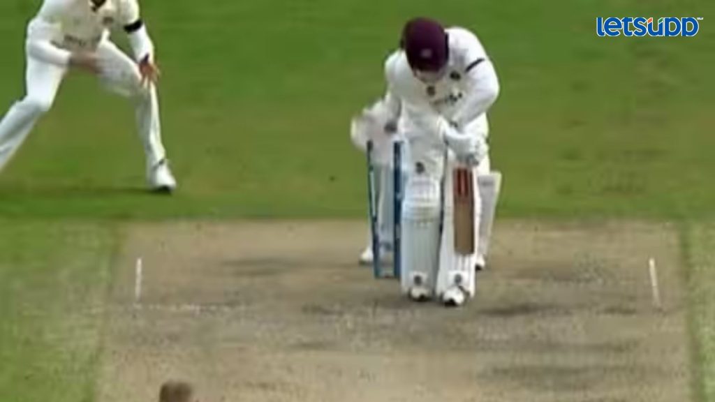 Letsupp Image   2023 07 01T165945.717