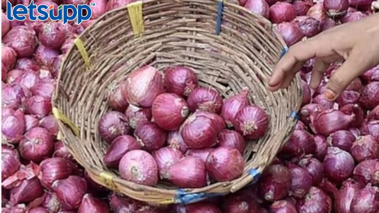 Onion Price : कांद्याच्या भावाचा वांदा थोपविण्यासाठी ‘कृषी अभ्यासकांनी’ सुचविले दोन उपाय! Onion Price