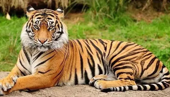 WhatsApp Image 2023 07 29 At 5.09.58 PM