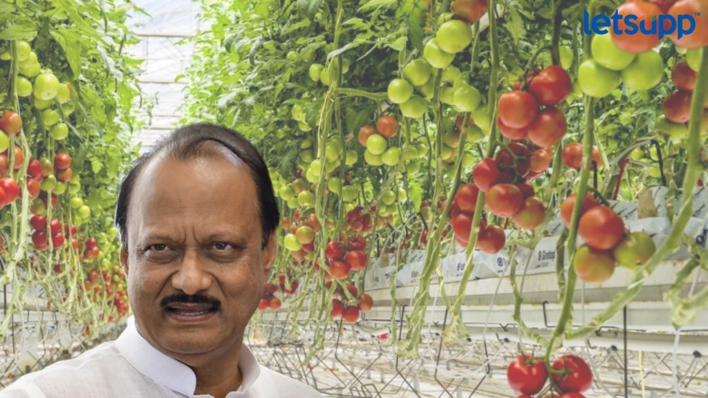 Letsupp Image   2023 07 13T174010.777