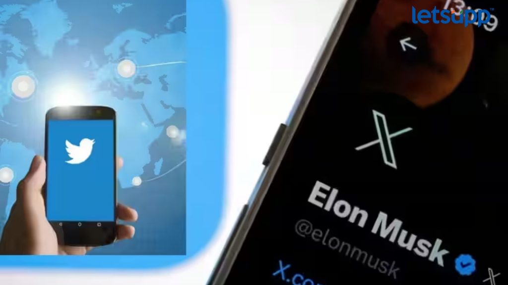 Letsupp Image 2023 07 25T163754.873