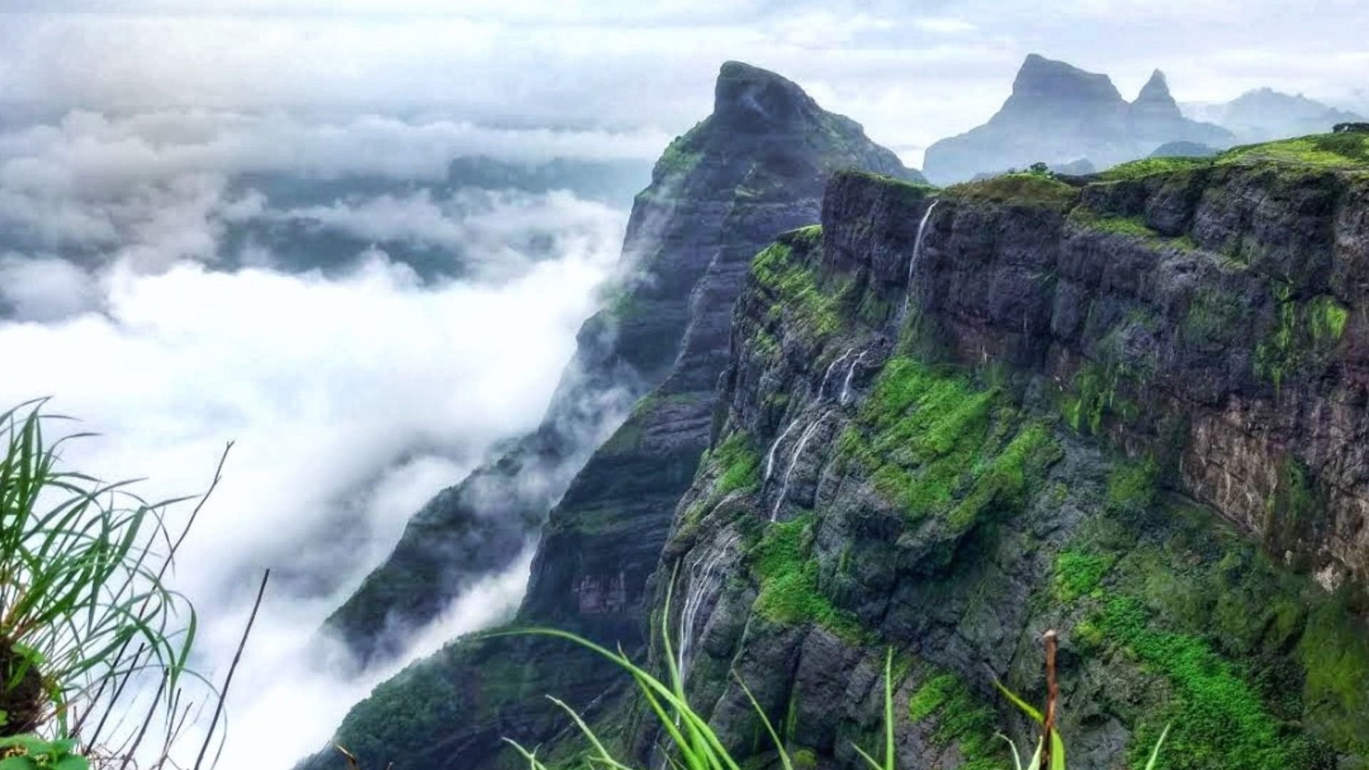 अहमदनगर : हरिश्चंद्रगडावर 6 पर्यटक भरकटले; एकाचा मृत्यू : घनदाट जंगलात नेमकं काय घडलं? Harishchandra Gad