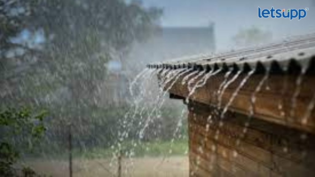Rain Update