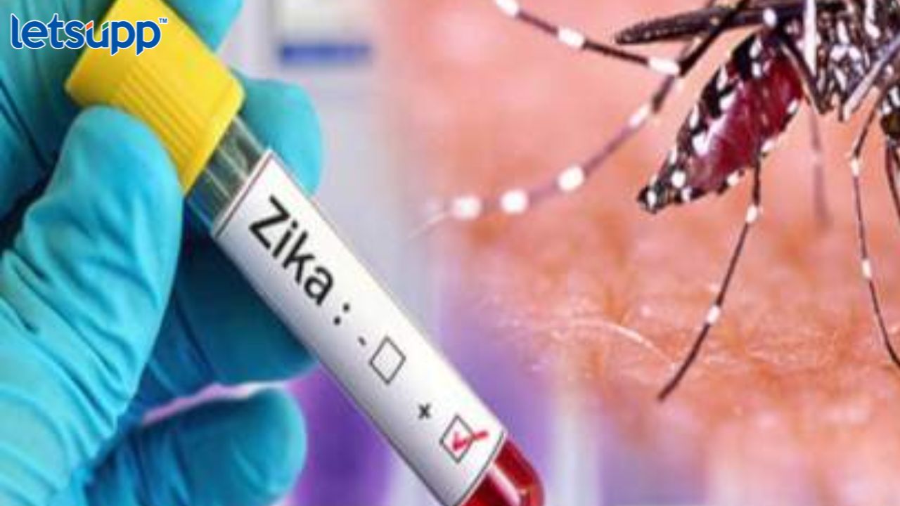 Zika virus : मुंबईत झिका व्हायरसचा रुग्ण आढळला, आरोग्य यंत्रणा अलर्ट मोडवर , काय आहेत लक्षणं? Sana Khan (6)